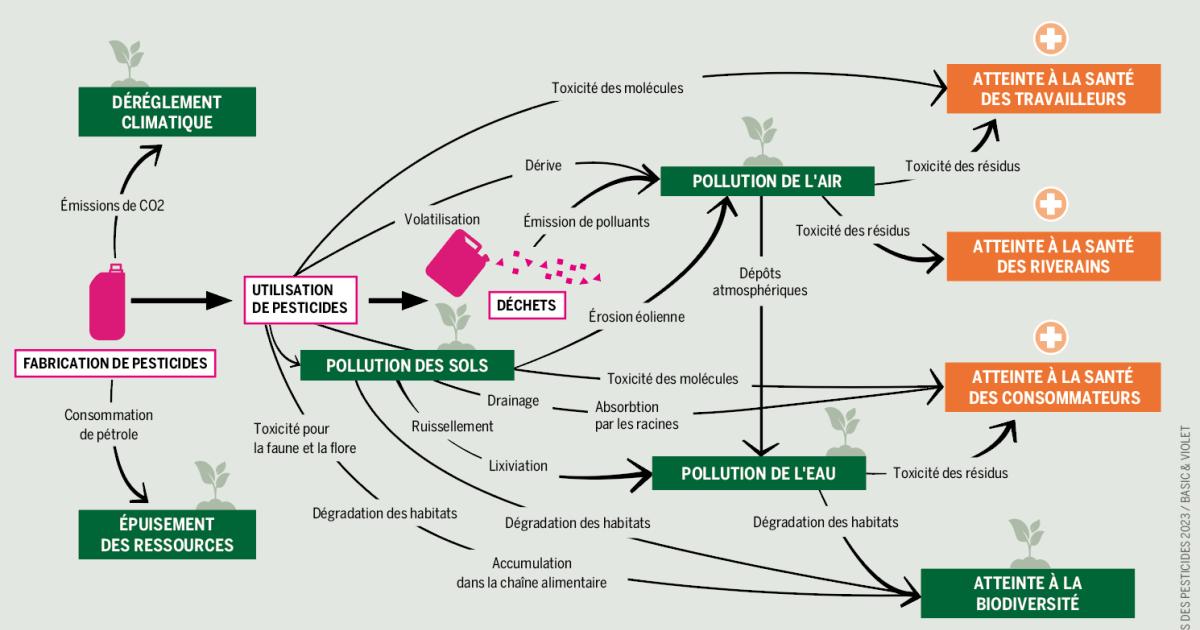 découvrez le coût moyen de l'assurance habitation par état, les facteurs qui influencent les prix et des conseils pour économiser sur votre contrat partout en france.