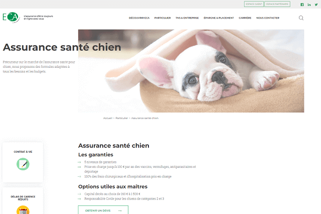 découvrez les principales échappatoires des assurances en californie : comment les compagnies d'assurance gèrent les réclamations, ce que les assurés devraient savoir pour mieux protéger leurs droits et éviter les mauvaises surprises.